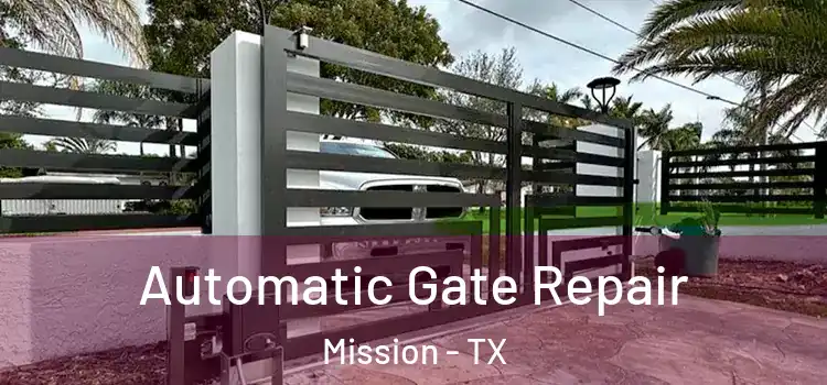 Automatic Gate Repair Mission - TX