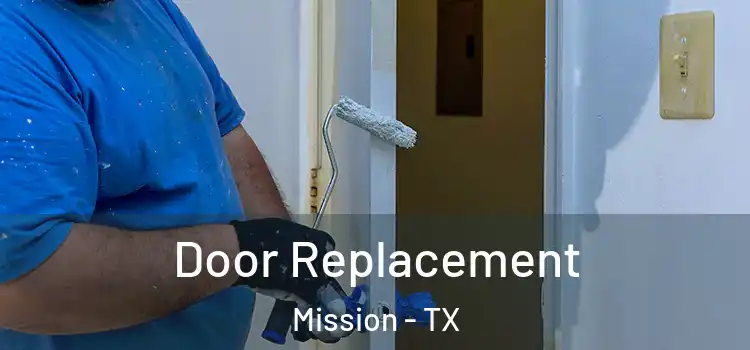 Door Replacement Mission - TX