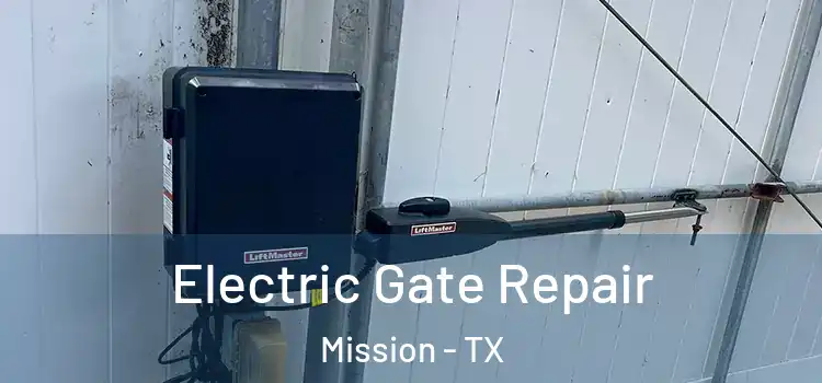 Electric Gate Repair Mission - TX