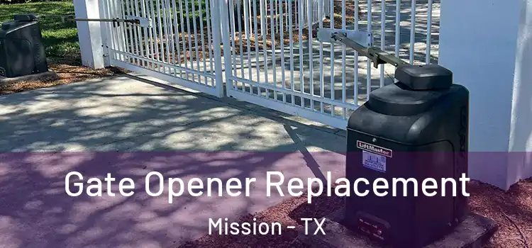 Gate Opener Replacement Mission - TX