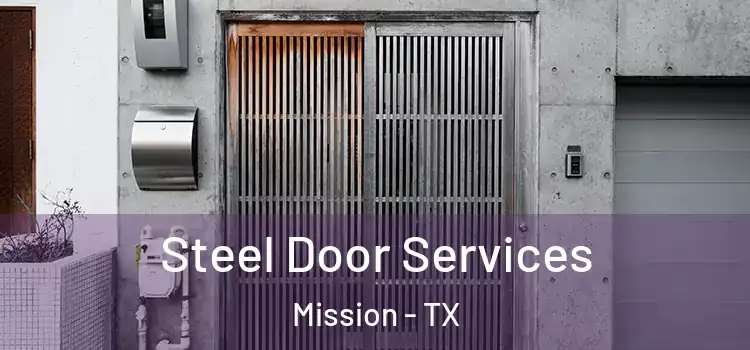 Steel Door Services Mission - TX